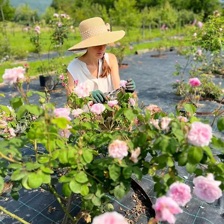 Casetta Dipinta Fattoria Dei Fiori Feriehus *
