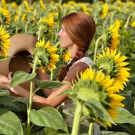 Feriehus Casetta Dipinta Fattoria Dei Fiori *