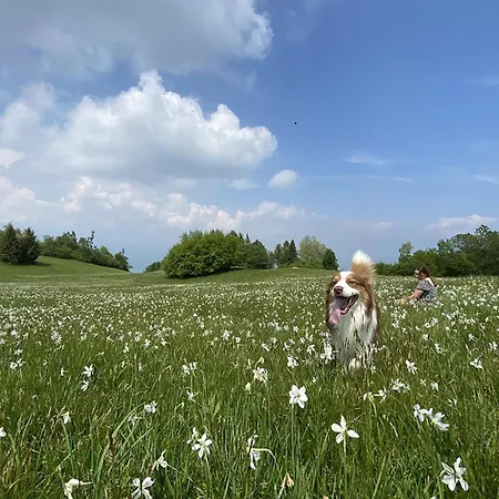 Casetta Dipinta Fattoria Dei Fiori Feriehus