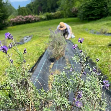 Feriehus Casetta Dipinta Fattoria Dei Fiori *