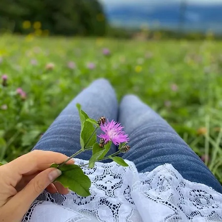 Casetta Dipinta Fattoria Dei Fiori Feriehus