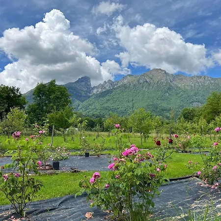 Feriehus Casetta Dipinta Fattoria Dei Fiori Oregne