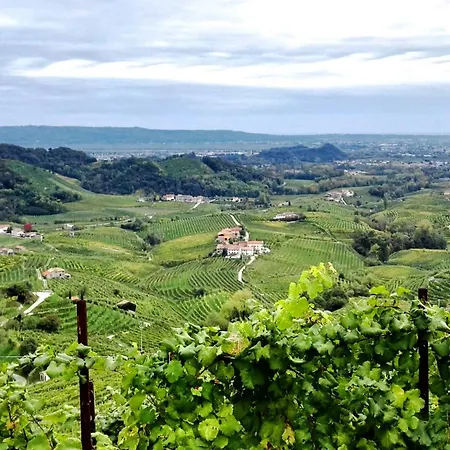 Casetta Dipinta Fattoria Dei Fiori *