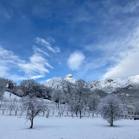 Casetta Dipinta Fattoria Dei Fiori * Oregne